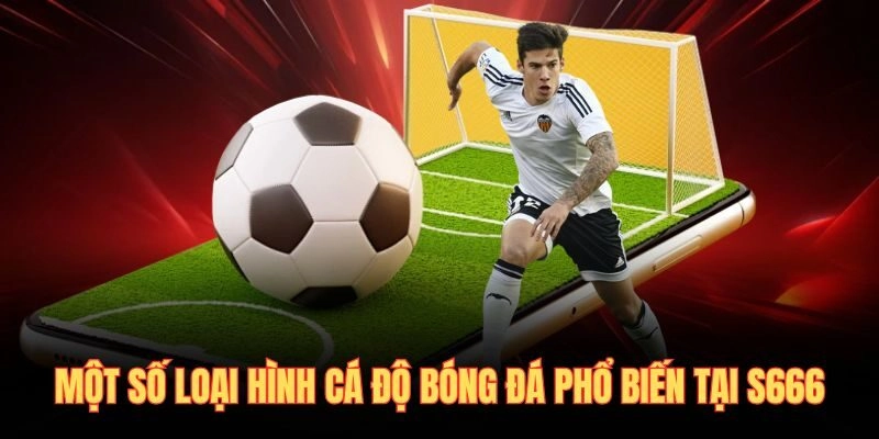 Một số loại hình cá độ bóng đá phổ biến tại S666