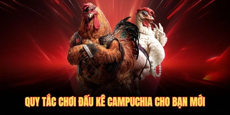 Quy tắc chơi đấu kê campuchia cho bạn mới