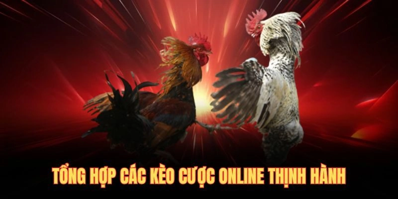 Tổng hợp các kèo cược online thịnh hành