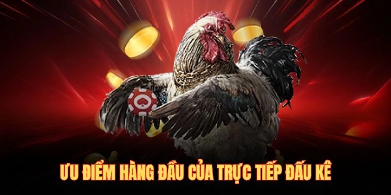 Ưu điểm hàng đầu của trực tiếp đấu kê