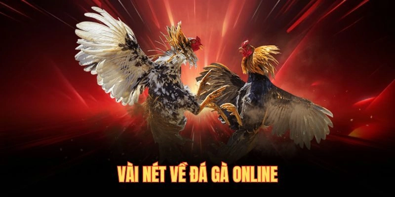 Vài nét về đá gà online